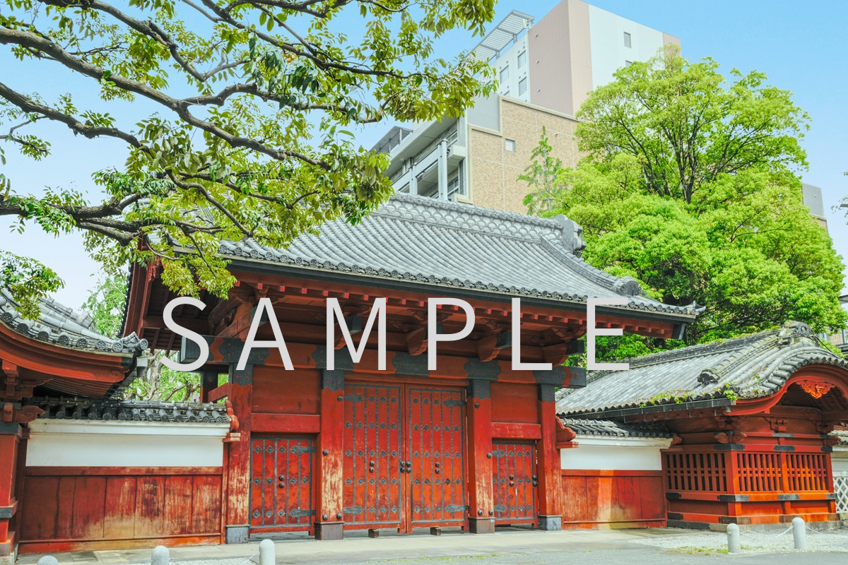 本郷キャンパス　ポストカード（5枚セット）