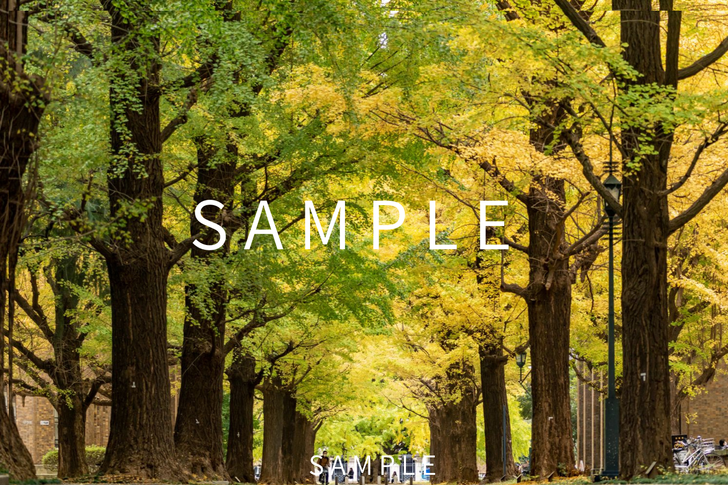 本郷キャンパス　ポストカード（5枚セット）