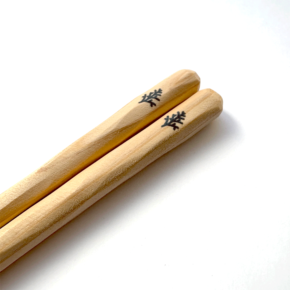 演習林のおはし　(大)　生態水文学研究所ヒノキ